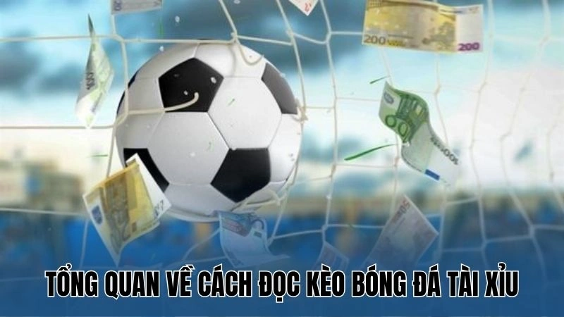 Cách Đọc Kèo Bóng Đá Tài Xỉu Hiệu Quả Tại Nhà Cái Nowgoal 2 Tổng quan về cách đọc kèo bóng đá tài xỉu