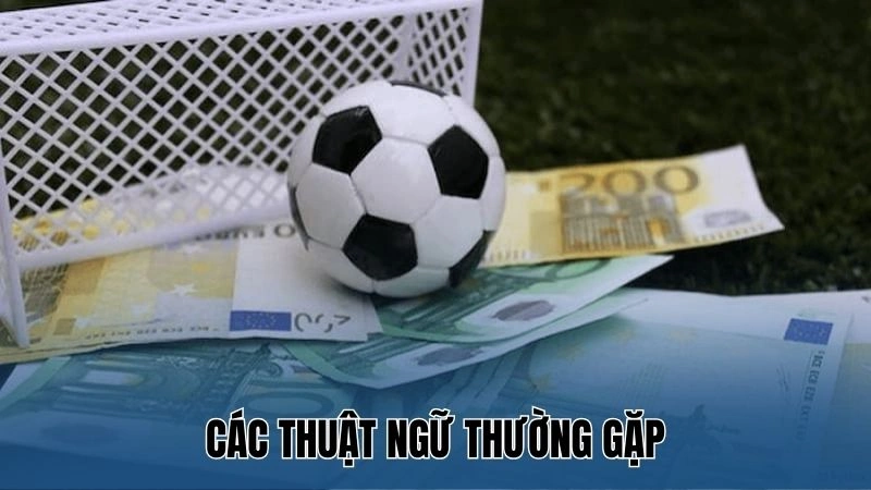 Cách Đọc Kèo Bóng Đá Tài Xỉu Hiệu Quả Tại Nhà Cái Nowgoal 3 Các thuật ngữ thường gặp