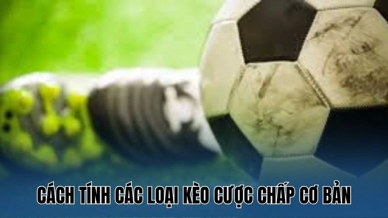 Cách Đọc Kèo Chấp Bóng Đá – Chiến Lược Cá Cược Từ Nowgoal 4 Cách tính các loại kèo cược chấp cơ bản