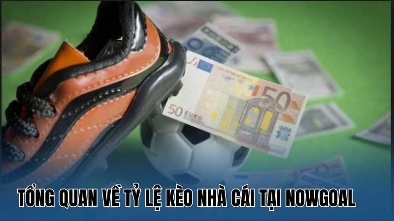 Cách Đọc Tỷ Lệ Kèo Nhà Cái – Giải Mã Chiến Thuật Tại Nowgoal 2 Hướng dẫn cách tính tỷ lệ kèo cơ bản