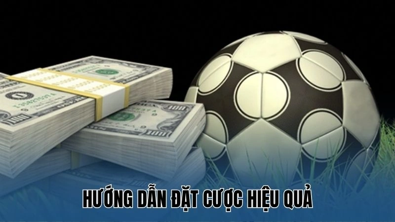 Hướng Dẫn Cách Chơi Bóng Đá Cho Người Mới Tại Nowgoal 4 Hướng dẫn cách chơi bóng đá