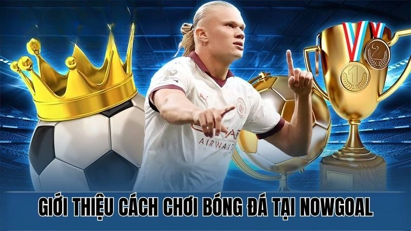 Hướng Dẫn Cá Cược Bóng Đá Cho Người Mới Tại Sân Chơi Nowgoal 2 Giới thiệu cá cược bóng đá tại Nowgoal
