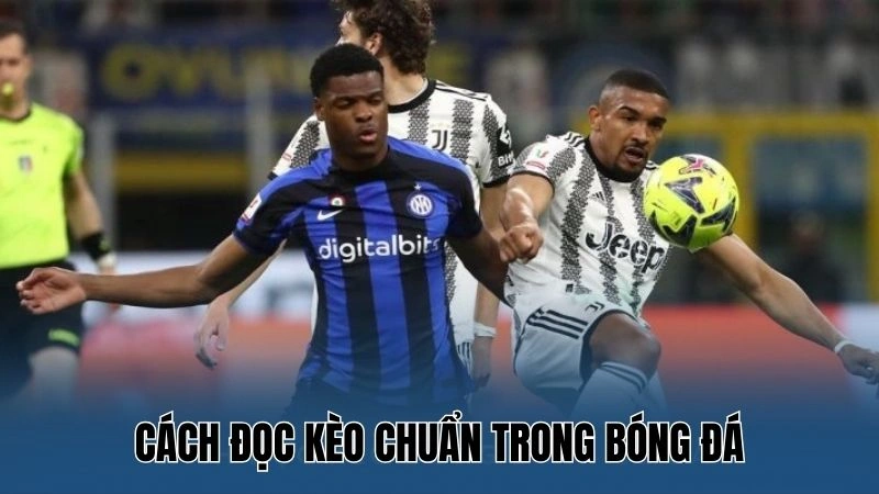 Hướng Dẫn Soi Kèo Bóng Đá Chuẩn Xác Nhất Tại Nowgoal 2 Cách đọc kèo bóng đá