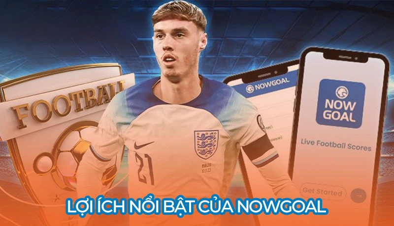 Nowgoal 11 Lợi ích nổi bật của Nowgoal